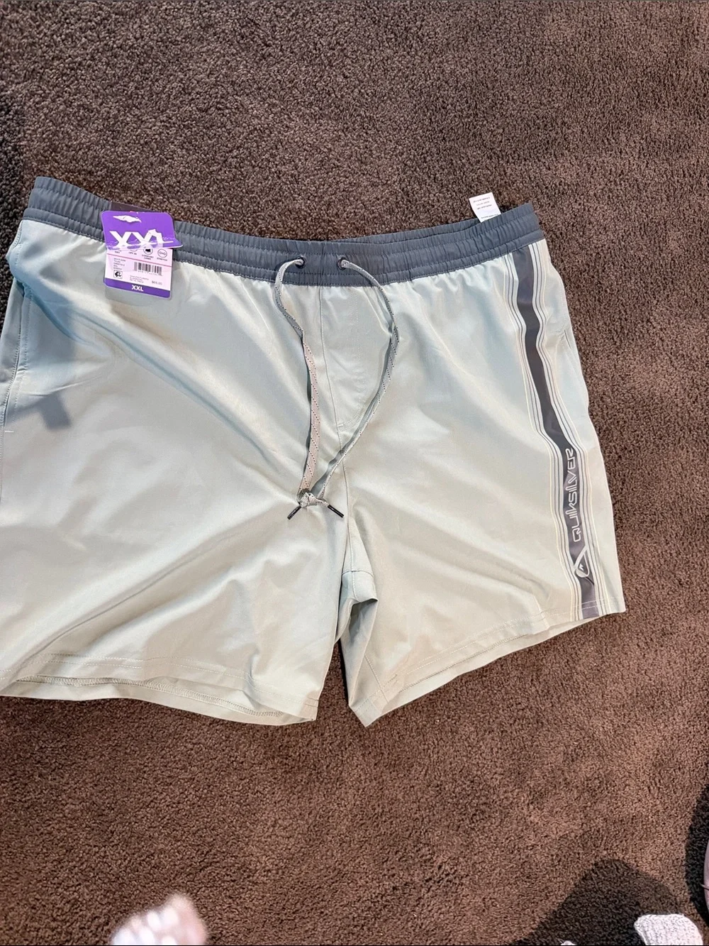 Quiksilver light sage